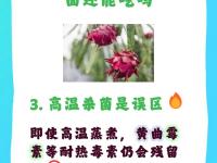 乐鱼体育 官方平台-高温并不是我们的借口，为保存体力几
