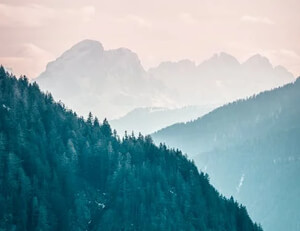 沙尔克遭遇主场失利,保级形势严峻