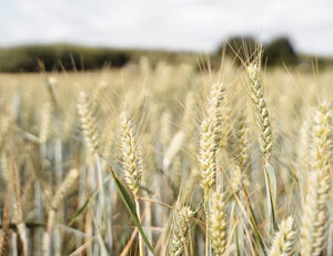 爱沙尼亚主场胜利,晋级框架渐次明晰