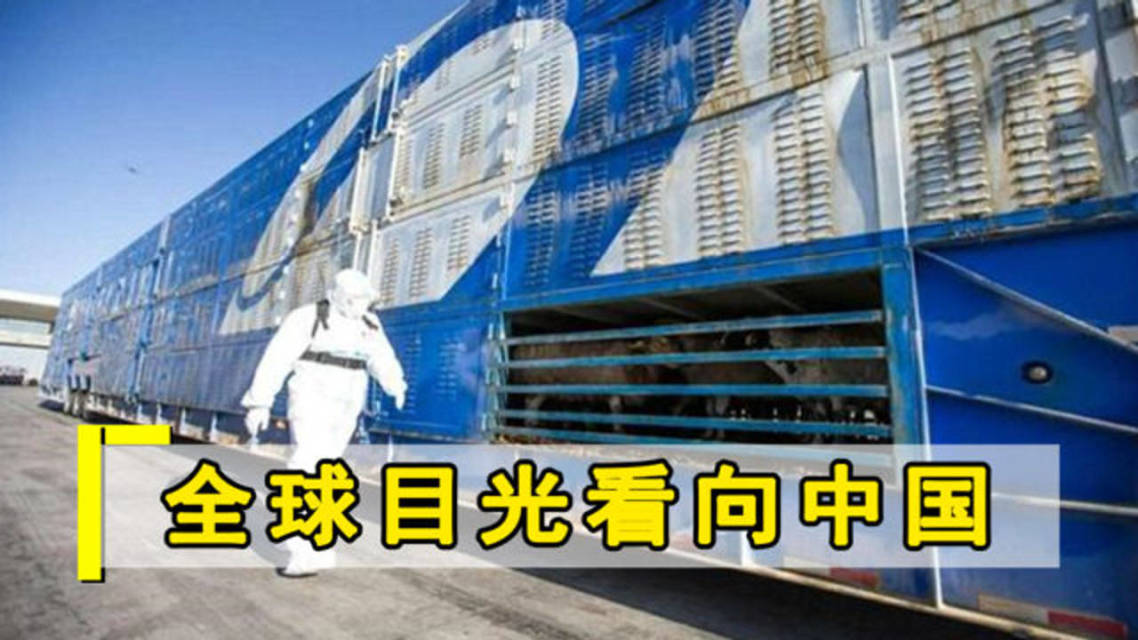 强队胜局连连，领先优势难挡胜负大势的简单介绍
